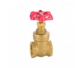 3/4 Inch Brass Gate Valves