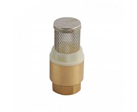 Vertical Flow Spring Check Valve with Filter