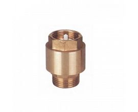 External Thread Brass Foot Valve