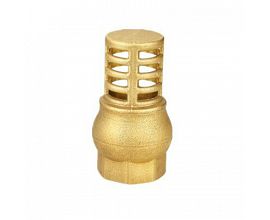 Brass Bottom Valve