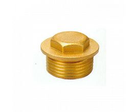 Brass Hex Plugs