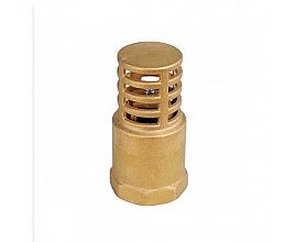 1/2" brass foot valve with brass