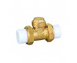 Brass check valve with PPR union