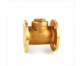 Flanged brass check valve
